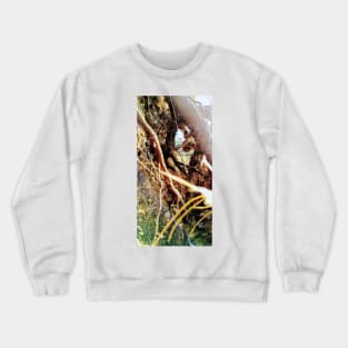 Terra Cont'd Crewneck Sweatshirt